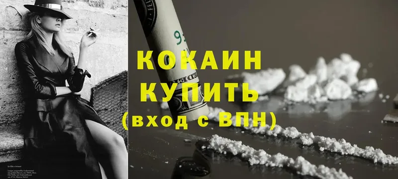 Кокаин FishScale  продажа наркотиков  Нижняя Тура 